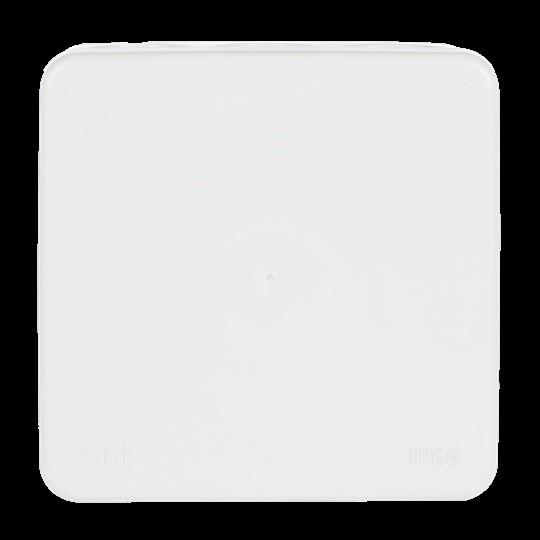 Actual product image ABB AP10G Two-component box