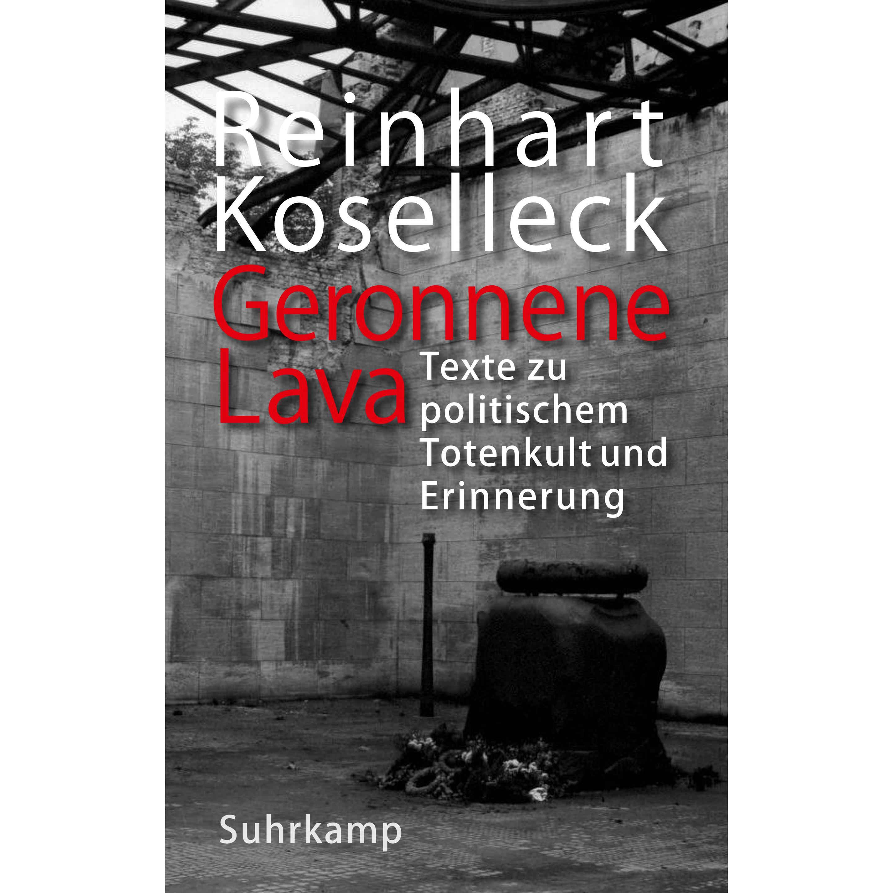 Geronnene Lava, Fachbücher von Reinhart Koselleck, Manfred Hettling, Hubert Locher, Adriana Markantonatos