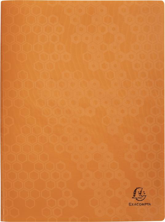 Actual product image Exacompta Display folders (A4, 4 x)