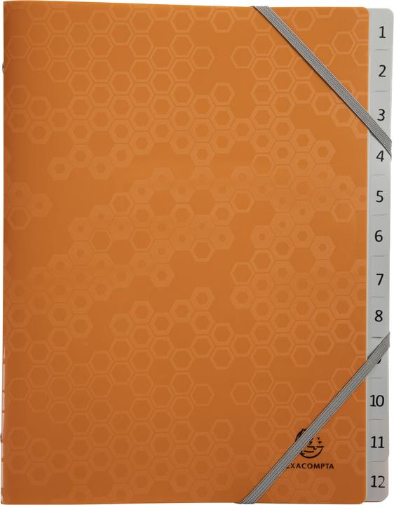 Actual product image Exacompta Folders with pleated spine (A4)