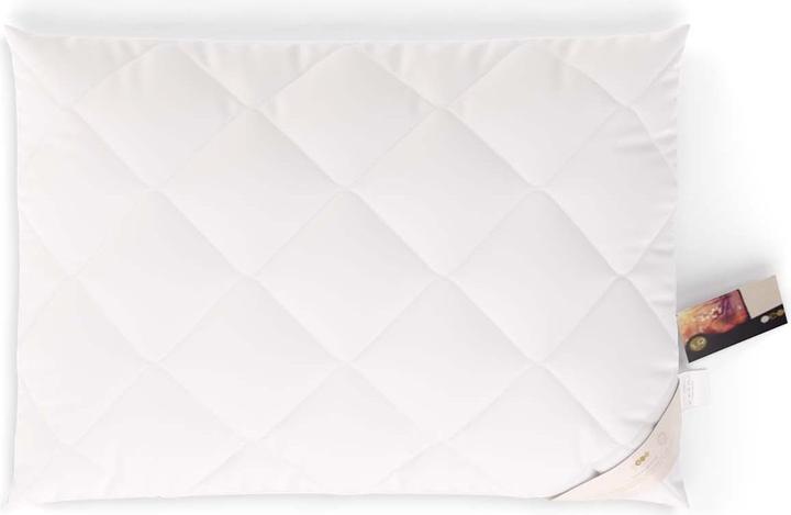 Immagine prodotto Erzstef Allergiker-Chemnitz (50 x 70 cm)