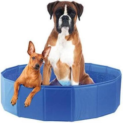Image du produit Swisspet Planchi (Piscine pour chiens)