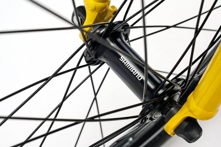 Productafbeelding Academy 20" riem graad 4 (20")