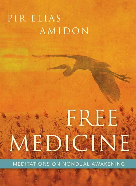 Produktbild Free Medicine (Englisch, 2016)