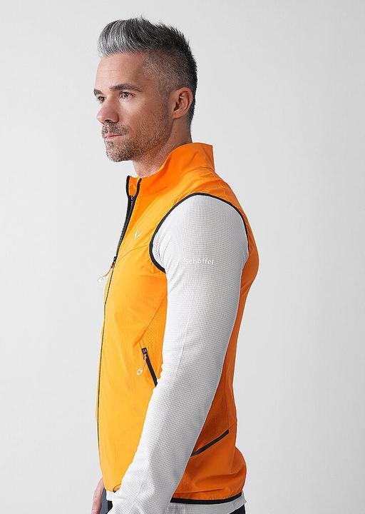 Immagine prodotto Salewa Pedroc DST Light Vest (L)