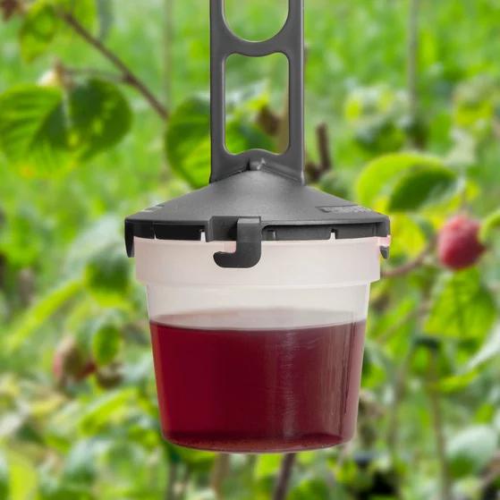 Actual product image Andermatt Biogarten Drosal® Pro Packung mit 5 Fallen