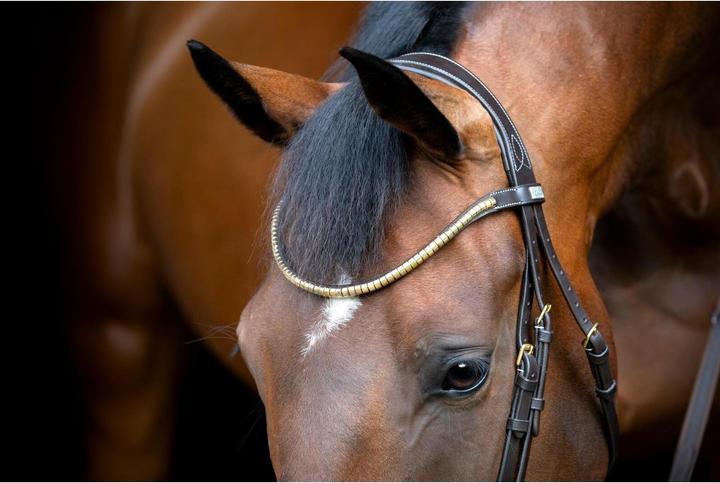 Image du produit Horse Guard Emi 26.1