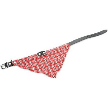 Beeztees Bz Lederhalsband+Tuch Schwarz (52, Hund, Allgemein), Halsband + Leine