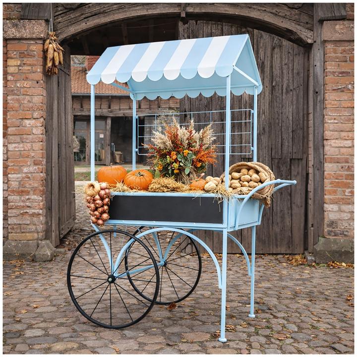 Produktbild HTI-Living Blumenwagen Vintage Metall blau Dekowagen Buffetwagen auf Rädern