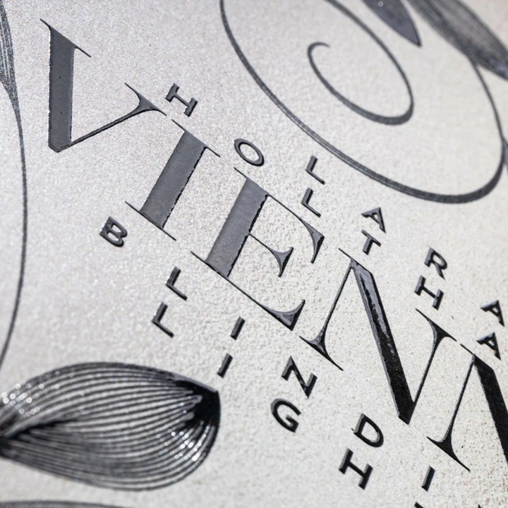 Actual product image Vienna 1: Blinding Lights (German, Lara Holthaus, 2024)