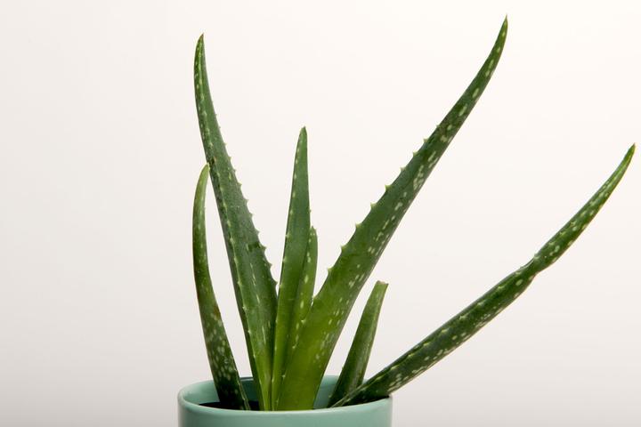 Actual product image Superior Achtergrond Rol Snow (nr 28) 2.72m x 11m (Camera inner pocket)