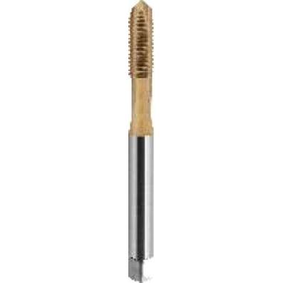 Fanar, Gewindeschneider + Gewindebohrer, Machine Tap M8 (C2-113X01-0080)