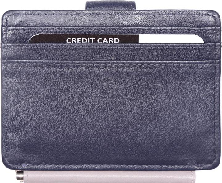 Produktbild Giorgio Carelli Dollarclip, RFID