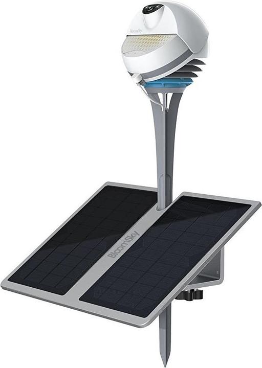 BloomSky 1 per pack