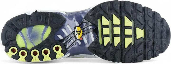 Actual product image Nike Air Max Plus (42)