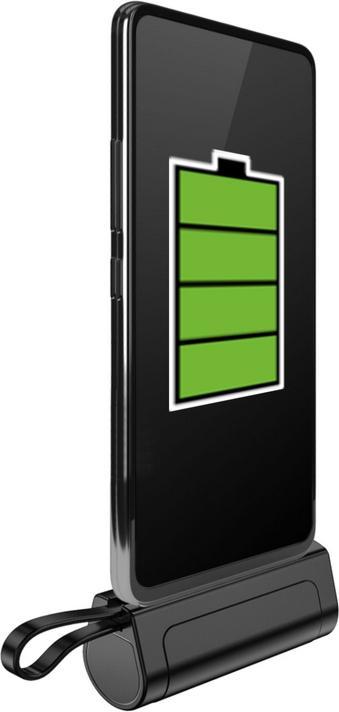 Powerneed EP50 (5000 mAh, 10 W, 18.50 Wh)