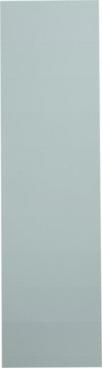 Produktbild Leitz Alpha Blanko-Schildchen