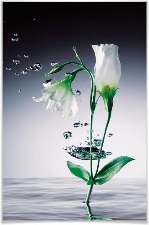 Image du produit Wizard + Genius Fleurs de cristal (115.00 x 175 cm)