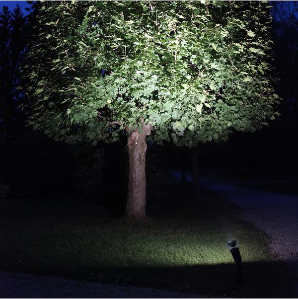 Actual product image Star Trading Spotlight (E27, 1250 lm, 1 x)