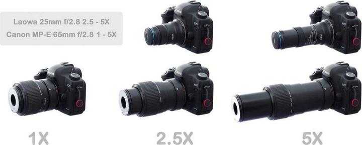 Produktbild Venus Optic Laowa 25mm f/2.8 2.5-5x UltraMacro Nikon AI (Nikon F, Vollformat)