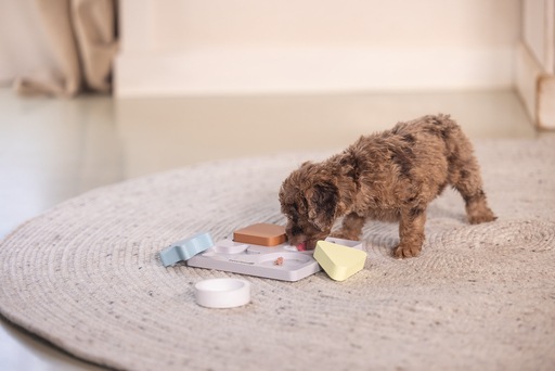 Productafbeelding Beeztees Puppy braingame Lot (Intelligentie speelgoedhond)