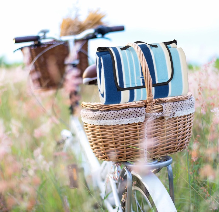 Actual product image Relaxdays Striped Picnic Blanket Blue-White