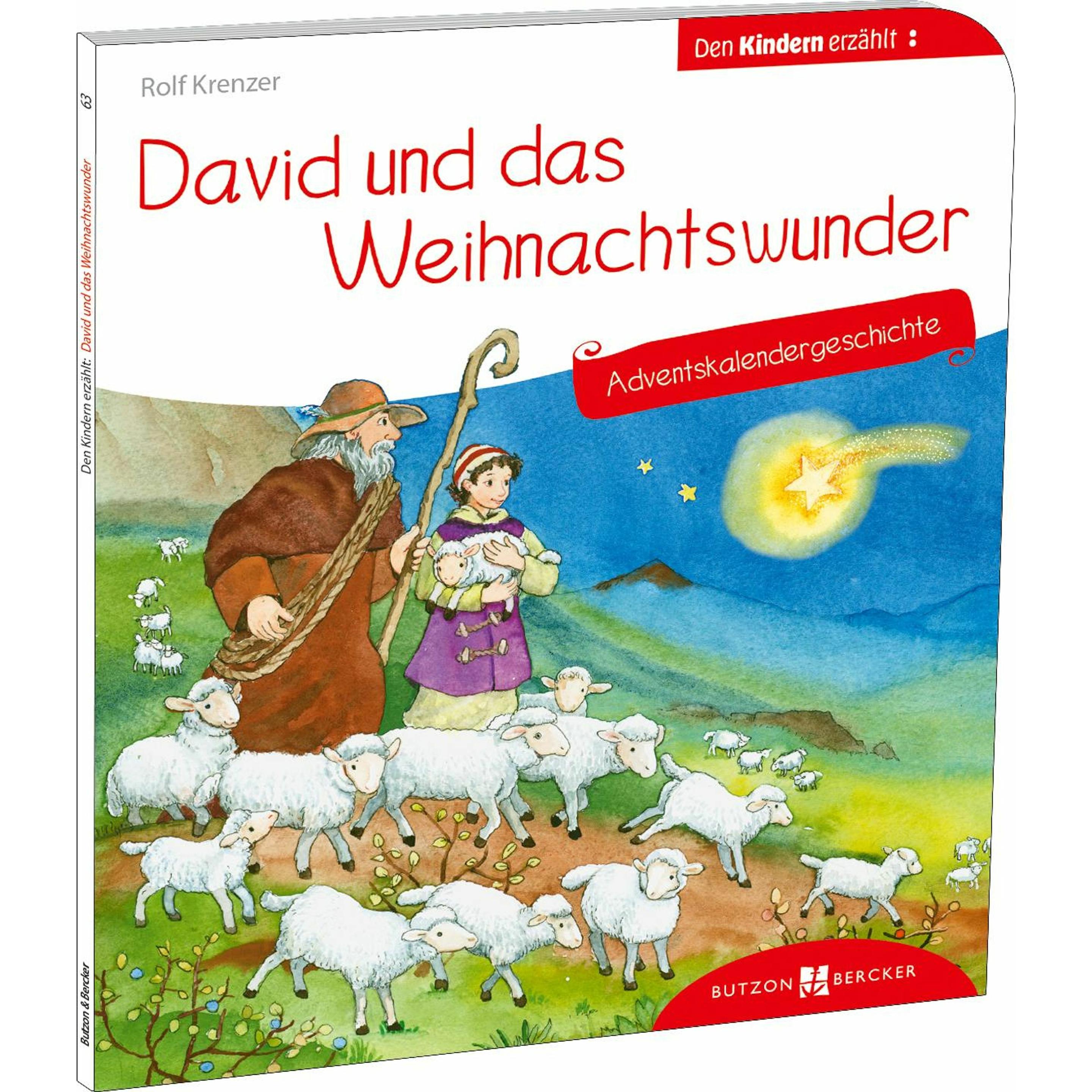Butzon & Bercker David und das Weihnachtswunder. Advents