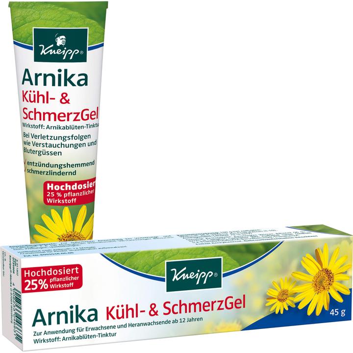Arnika Kühl- & SchmerzGel, 100 g Gel (1 x)