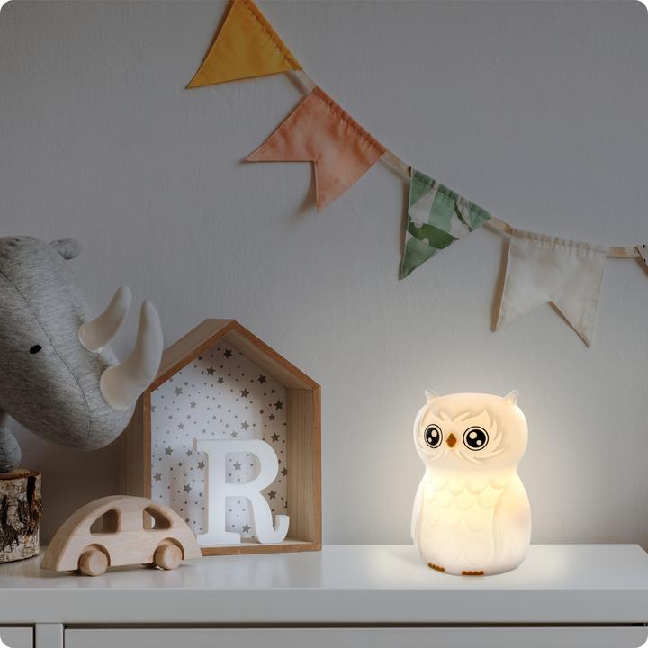 Actual product image Ansmann Owl night light
