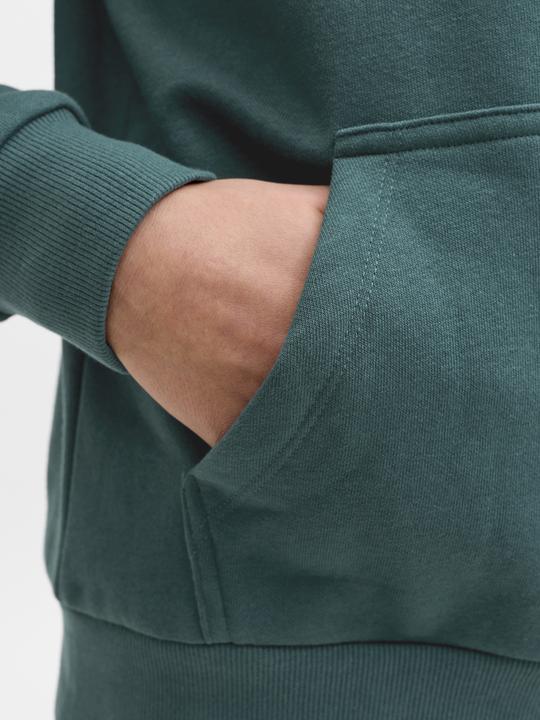 Image du produit Jack & Jones Jjecaleb Varsity Sweat Hood Noos Jnr (152)