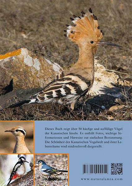 Produktbild Vögel auf den Kanarischen Inseln (Deutsch, Horst Wilkens, Ulrike Strecker, 2016)