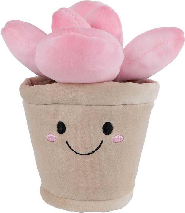Immagine prodotto Plüschpflanze „Nimm mich mit nach Hause“ – 13 cm (13 cm)