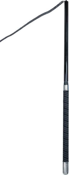 Produktbild Waldhausen Longierpeitsche Superleicht 4-teilig (200 cm)