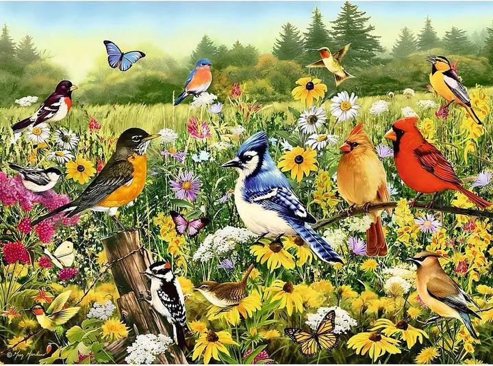 Immagine prodotto Ravensburger Prato degli uccelli (500 pezzi)