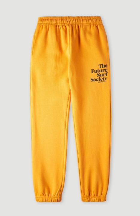 Produktbild O'Neill Future Surf Jogger Pants