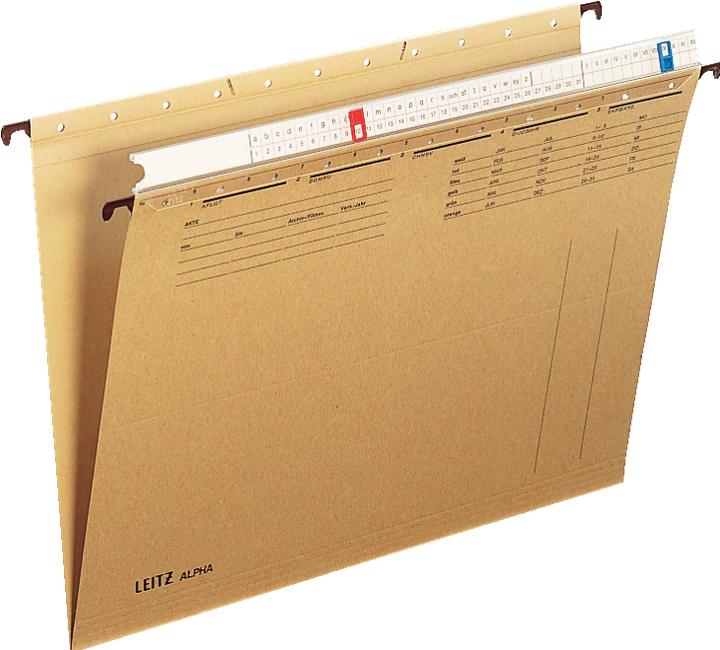 Actual product image Leitz ALPHA suspension file, A4, with organiser strip, natron (A4, 25 x)