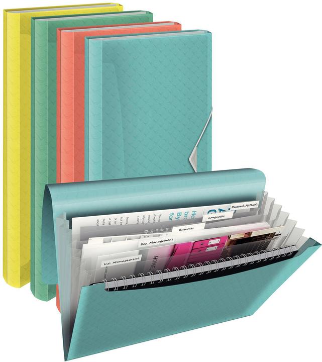 Immagine prodotto Esselte Cartella del progetto (A4, 1 x)