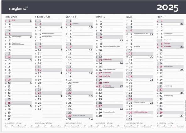 Actual product image Mayland-Burde Account Calendar Modern A3 2025 (A3)