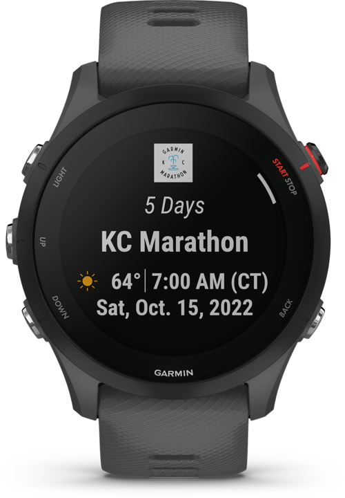Actual product image Garmin Forerunner 255 (46 mm)