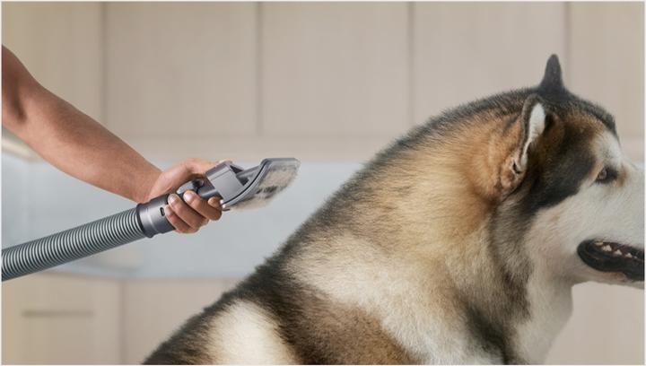 Productafbeelding Dyson Haustierpflegeset