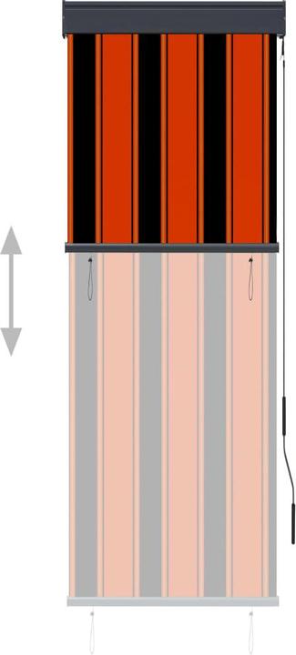 Produktbild vidaXL Aussenrollo (60 x 250 cm)