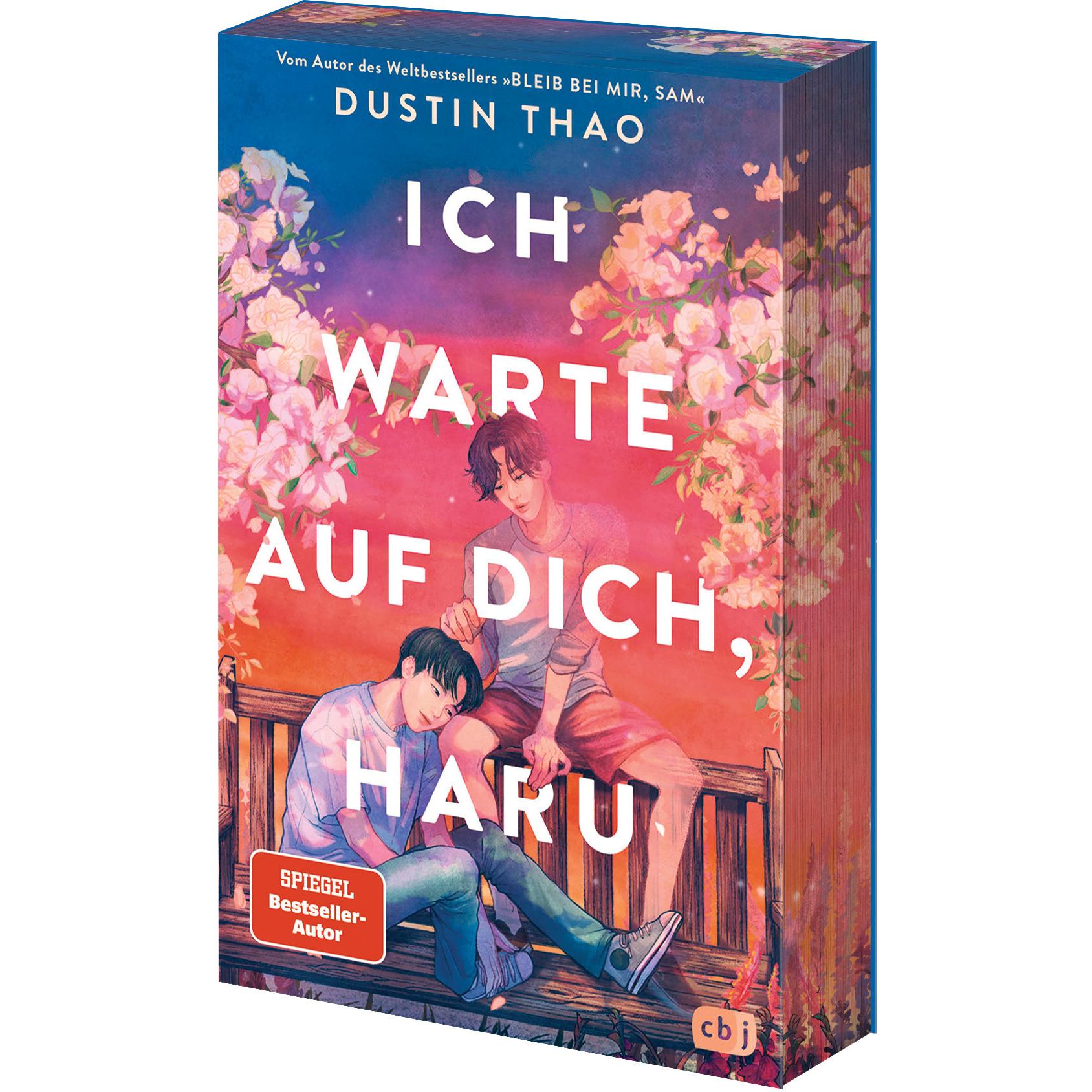 Ich warte auf dich, Haru, Belletristik von Dustin Thao