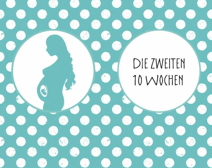 Produktbild Schwangerschaft (Deutsch, Silvia Höfer, 2018)