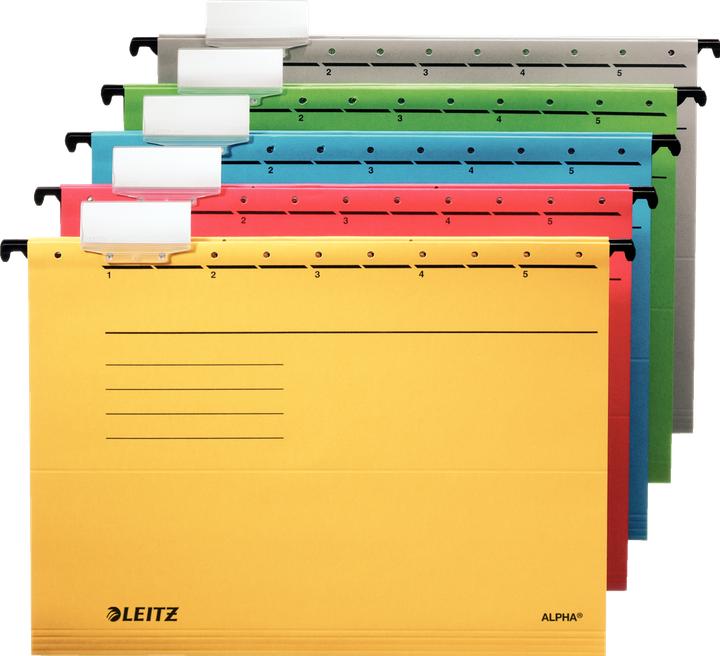 Actual product image Leitz Suspension file Alpha (A4, 5 x)