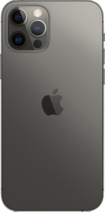 Actual product image Forza Refurbished iPhone 12 Pro (256 GB, Graphites, 6.10", 12 Mpx, Dual SIM, B / Very good)