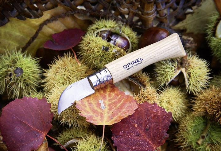 Actual product image Opinel Chestnut knife (4 cm)