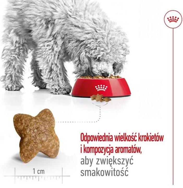 Image du produit Royal Canin Mini Adult (Adulte, 1 pcs, 4000 g)