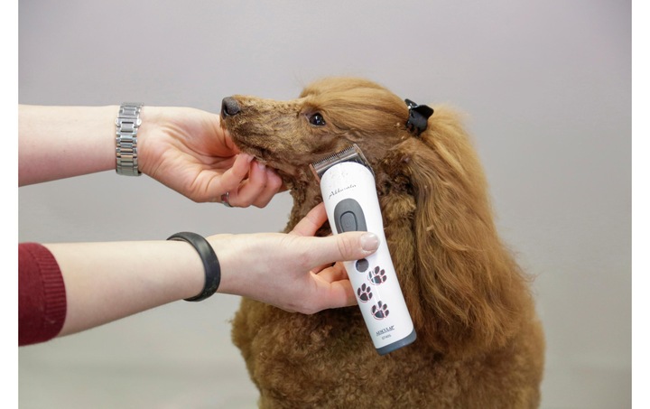 Image du produit Kerbl Akkurata (Chien)