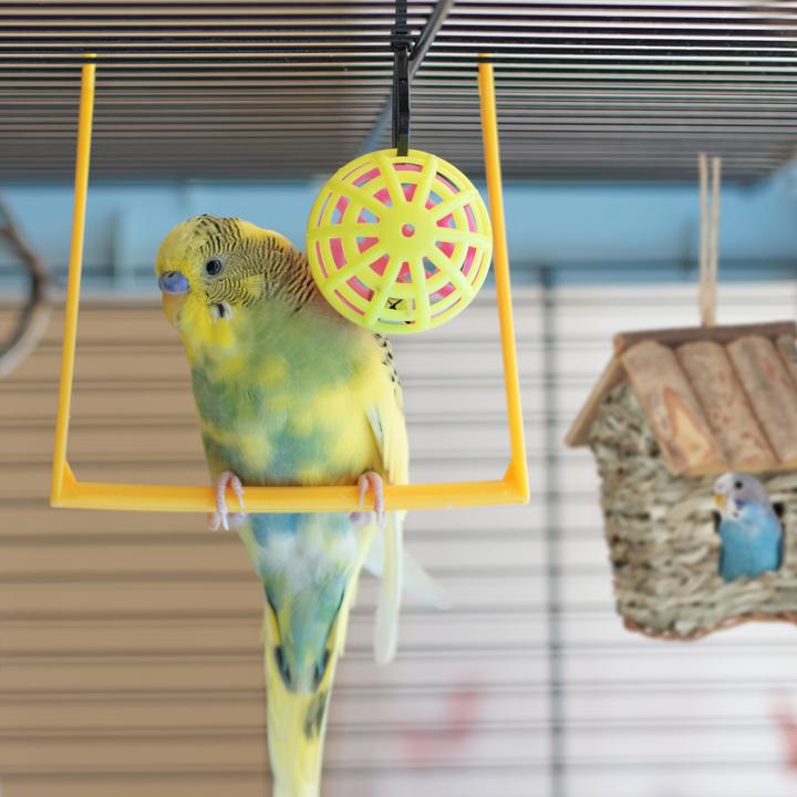 Image du produit Relaxdays Vogelhaus