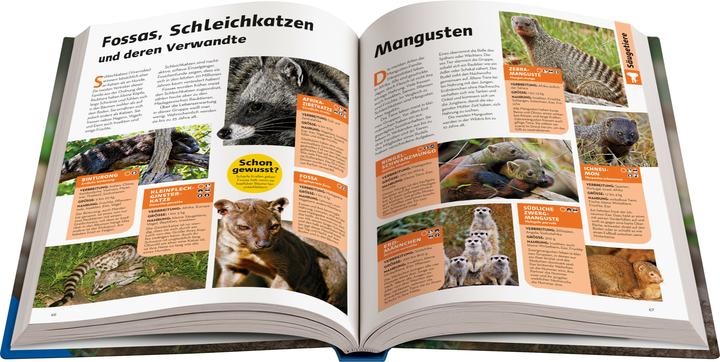 Image du produit Ravensburger National Geographic Kids - Lexikon der Tiere (Allemand)